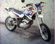 XT600